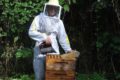Ferme apicole du Gâtinais